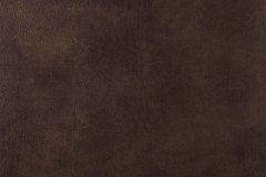421867369_878519567613248_5818774045319989619_n