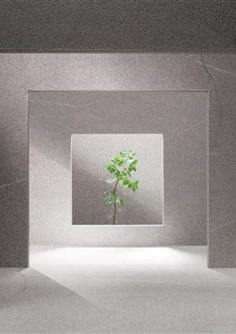 CONCRETA