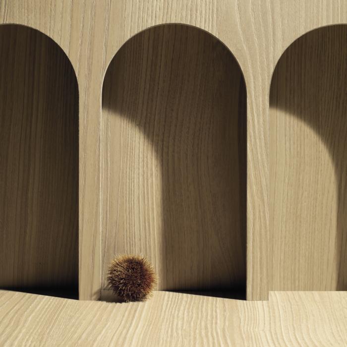 CORTECCIA