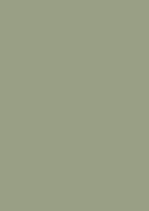5461 Green matt metalic