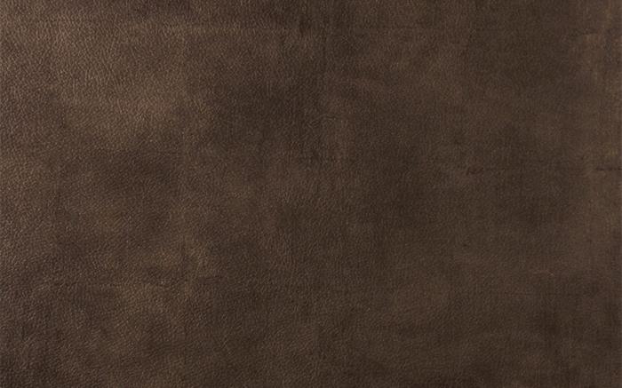 Primofiore FA33<br>ESPRESSO 2628