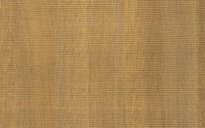 Tranché LN52