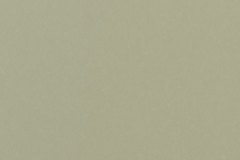 421973705_881315500666988_480013399274071170_n