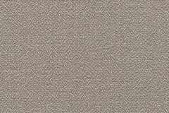 421984579_881315507333654_6788950320943559034_n