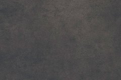 424967690_891548509643687_7198723065459298356_n