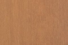 431140764_900356252096246_8782380152934014792_n