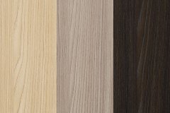 434017529_924189146379623_253909979025916370_n