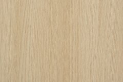 438088944_929747852490419_7787909864292311834_n