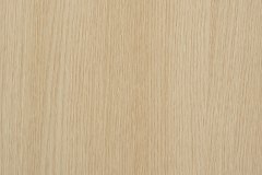 438170497_944631871002017_2961393731693719020_n