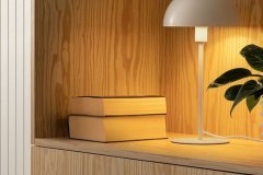 441172284_949043733894164_6945290184464995102_n