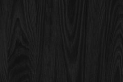 445181493_960968966034974_1863127357340307848_n