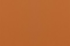 447418491_964998328965371_4469616478012925993_n