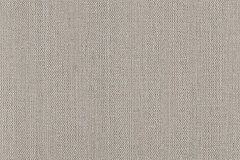 447479125_964998348965369_1669127059173185802_n