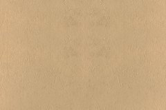 447883408_964998355632035_1192454092461464567_n