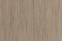 449471500_983527843779086_5988596651963787737_n