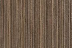 450562325_990255929772944_3527703219591698261_n