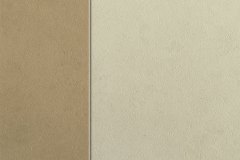 453218491_1004949008303636_8223423694617582963_n