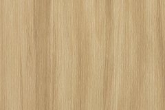 454664514_1014533780678492_9196922914548675939_n