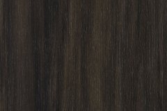 454732641_1014533777345159_7903112980664207108_n