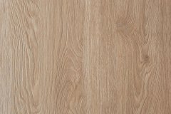 457175705_1027285569403313_7320151526787047817_n