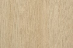 460357134_1044733240991879_6944852391553729756_n