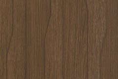 463441502_1071793561619180_552715548675585069_n