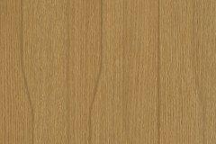 463750915_1071793568285846_2632455034414166712_n