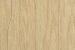 463751252_1071793558285847_2731690997537027472_n