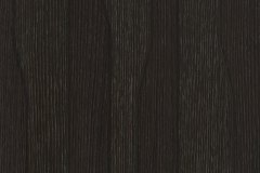 464152978_1071793564952513_400020121535685198_n