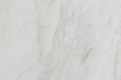 465672231_1087708260027710_1273994755881897099_n