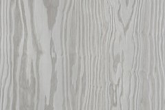 468299239_1101544595310743_4165247114796867546_n