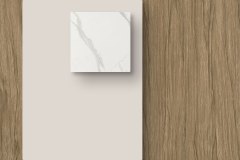 473754830_1151427210322481_4580444028357254763_n