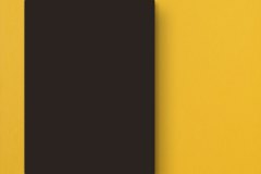 474476505_1151427203655815_4504049755531550269_n