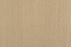 475172619_1158386202959915_3619300047054128216_n