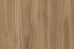 480877603_1182976150500920_8523582696969103882_n