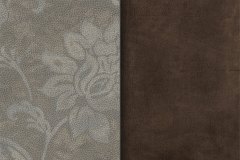 484046976_1193759352755933_5260922929597408682_n