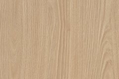 485123610_1201997721932096_2253671107211356454_n