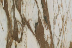 485678739_1201997718598763_5671874904377412406_n