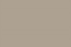 487195946_1211601304305071_1280219150948945987_n