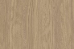 490976780_1228483029283565_5890540152231163428_n