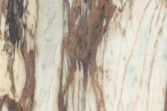 494202805_1241677717964096_85901521399877553_n