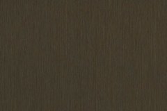 497437350_1252992050165996_9099246963732532791_n