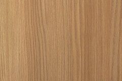 496639377_1254859663312568_8191781295150978023_n