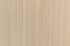 496934923_1254859659979235_7037904142664415695_n