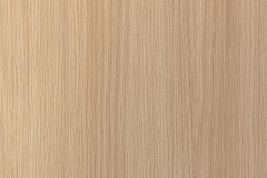 497478581_1254859669979234_6291791838007556411_n