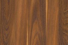 499667857_1264274145704453_1082490041226352976_n