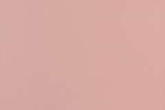 500931296_1268457855286082_6190694621940718432_n