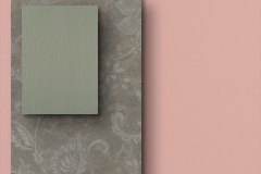 501459512_1268457945286073_2714192062699541536_n