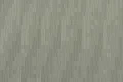 502411620_1268457961952738_4587288749750808846_n