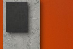 502448343_1268457958619405_3280252874264506047_n